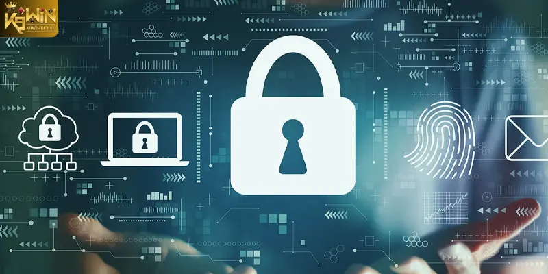 Dữ liệu nào được thu thập và lưu trữ trong hệ thống